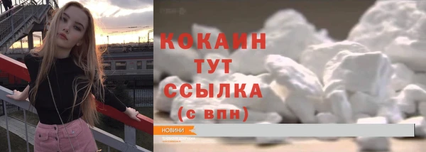 mdpv Каменногорск