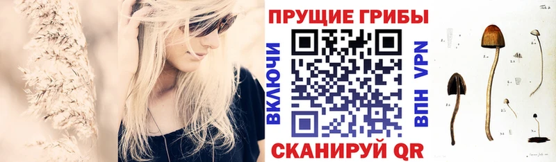 Купить  Плавск  Псилоцибиновые грибы мицелий 