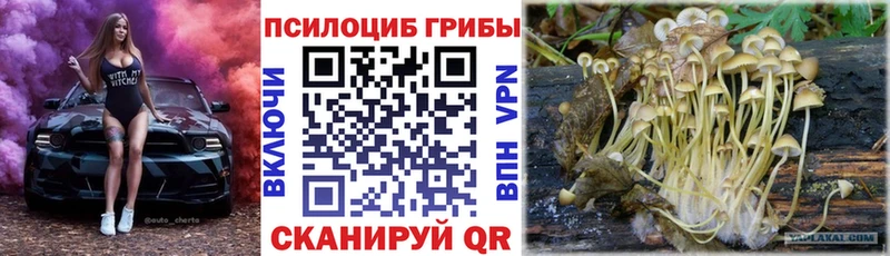Псилоцибиновые грибы мицелий Плавск