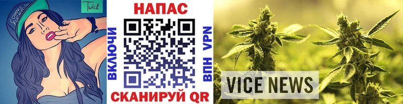 Шишки марихуана SATIVA & INDICA  Купить где  Плавск 